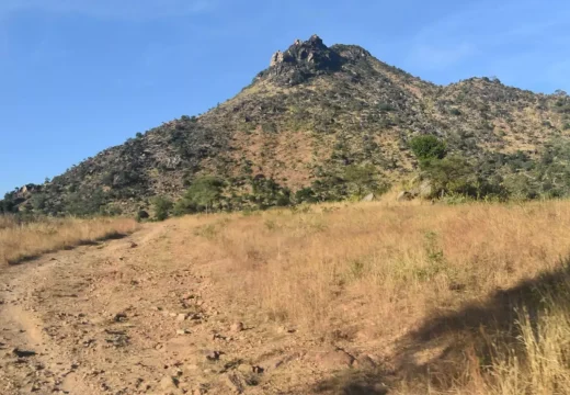 AnyConv.com__Col de koza (1)