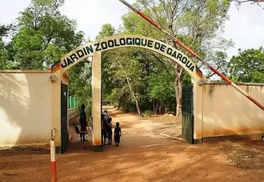 AnyConv.com__zoologique